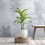 Sten Marble Plant Pot
